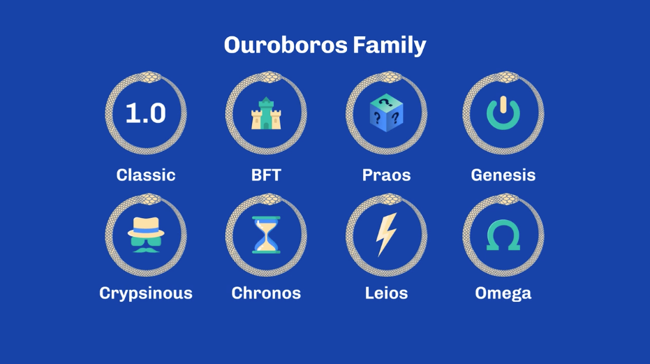 The Ouroboros Family