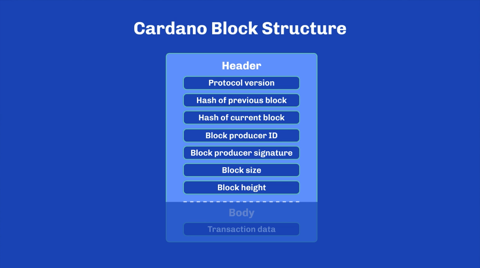 Cardano's Block Structure